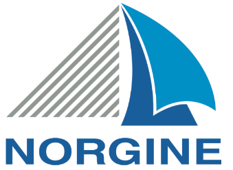 Norgine corporate logo